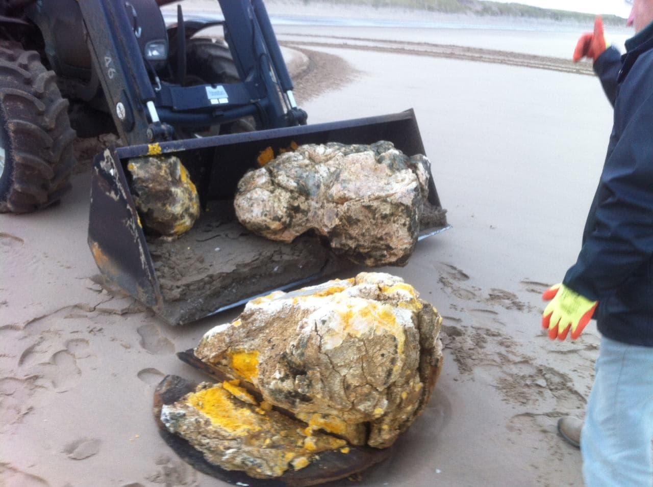 Palm oil on the Sefton coast