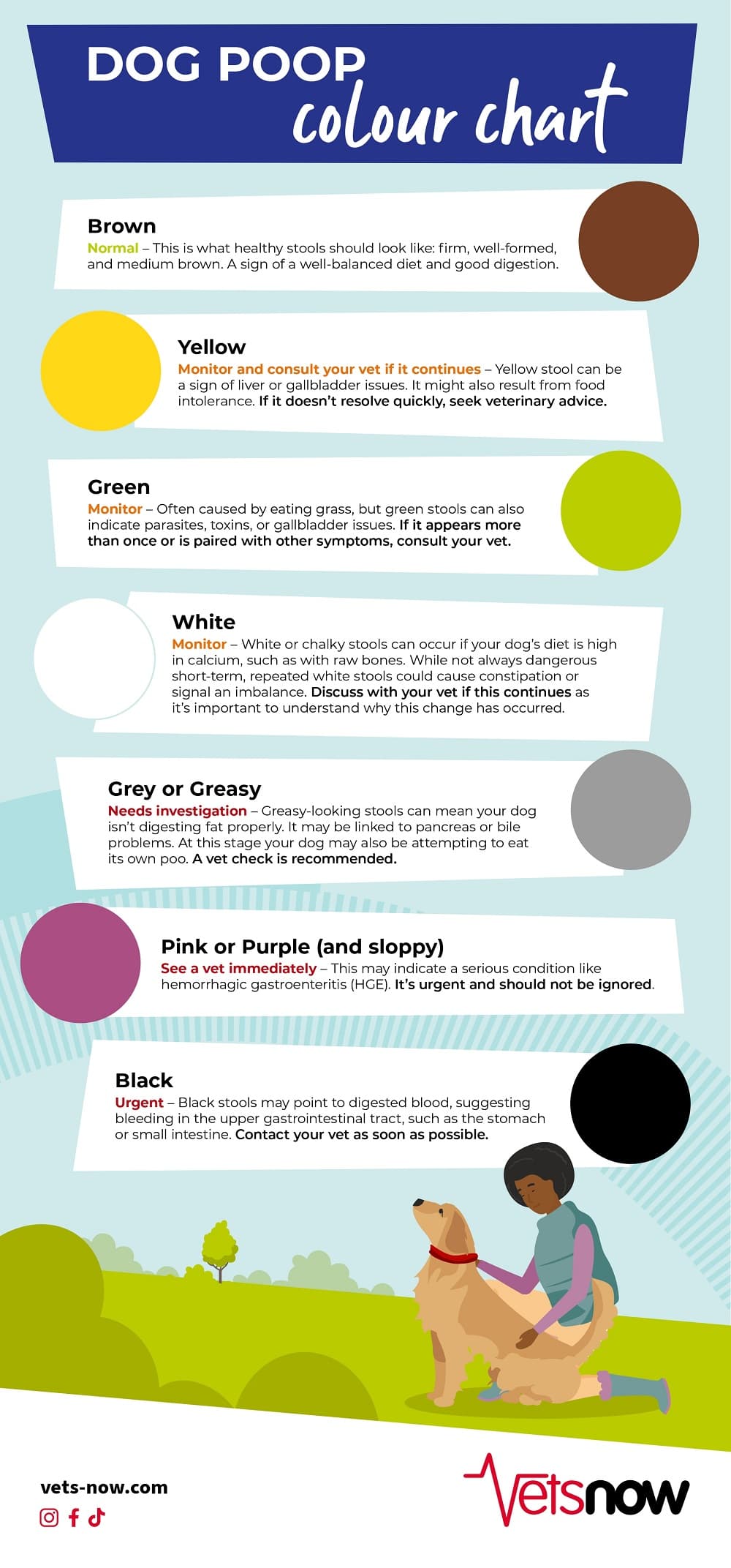 Dog Poop Colour Infographic 2025