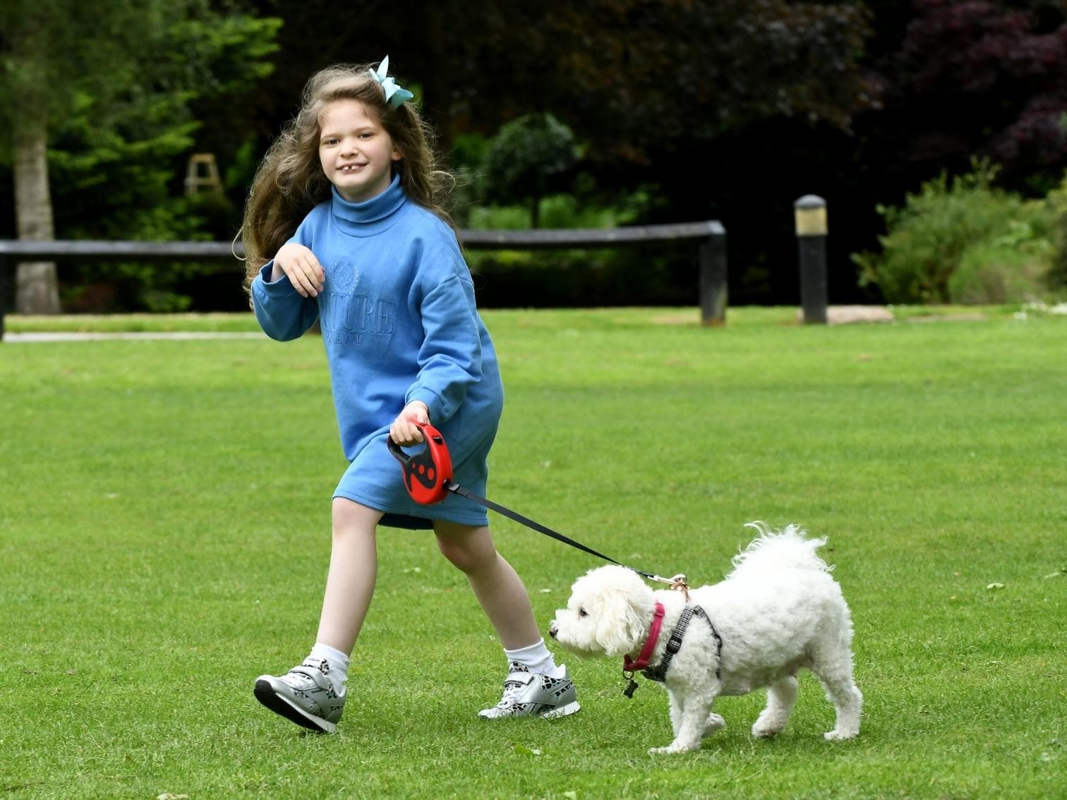 Support dog Matilda named as Vets Now Pet of the Year 2022… – body