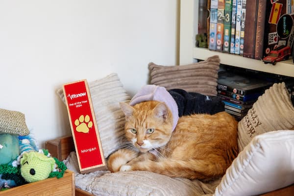 Meet our Pet of the Year 2024 winner, Morgan! – body