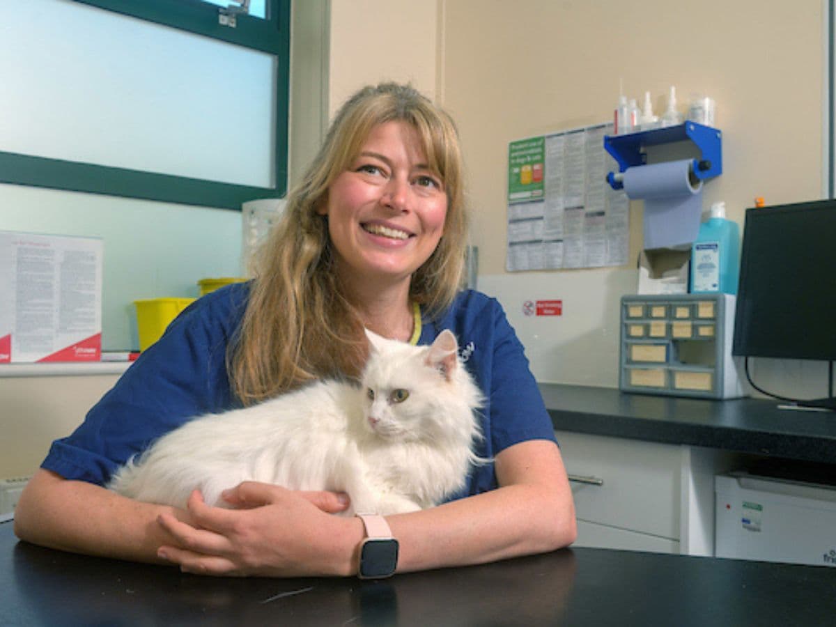Celebrating five years of lifesaving care at Vets Now… – body