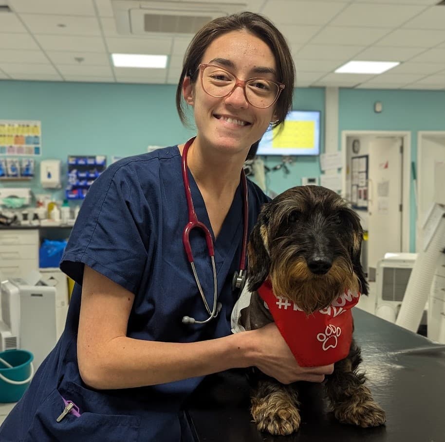 Edge to internships: How Corrie developed her career in ECC – body