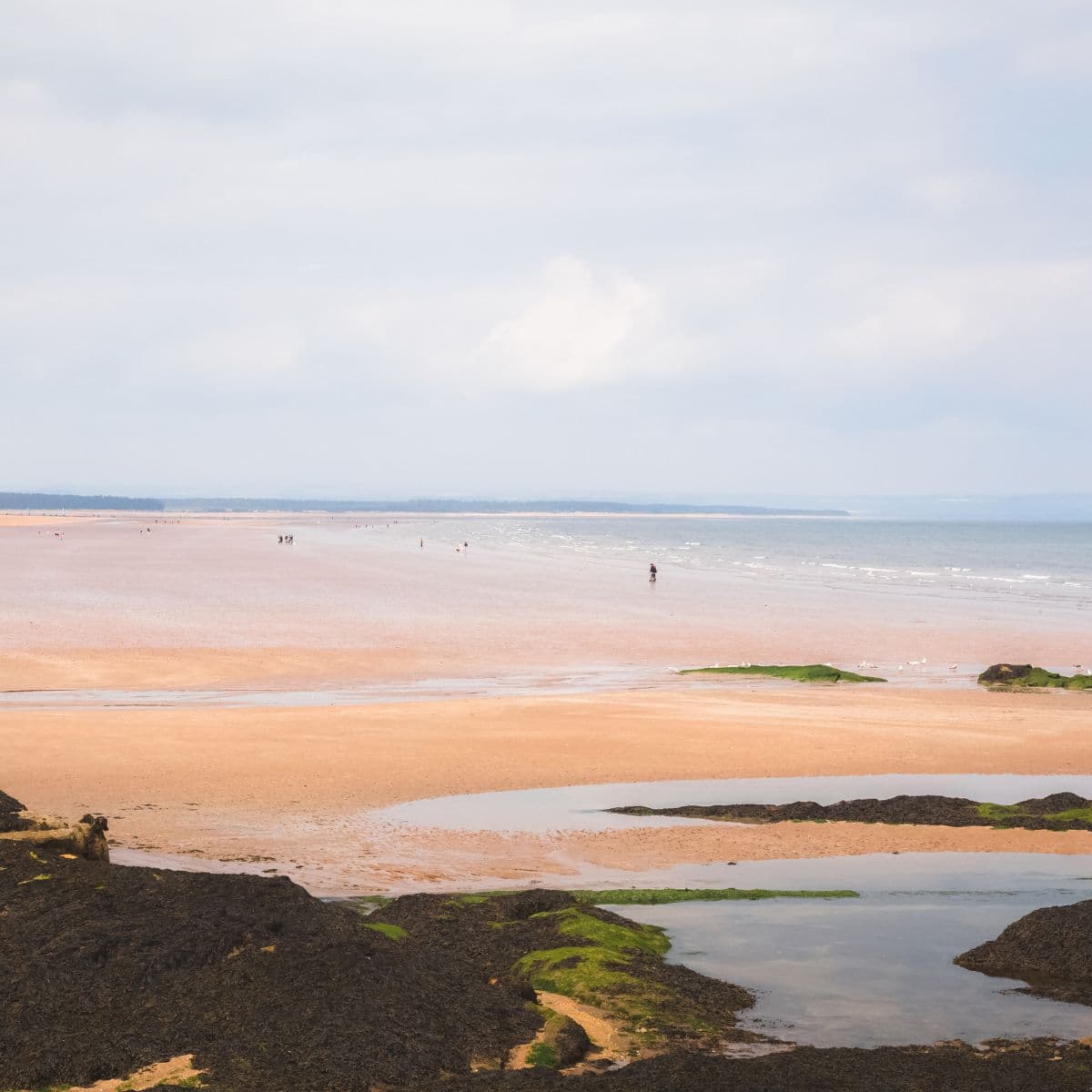 West Sands Beach