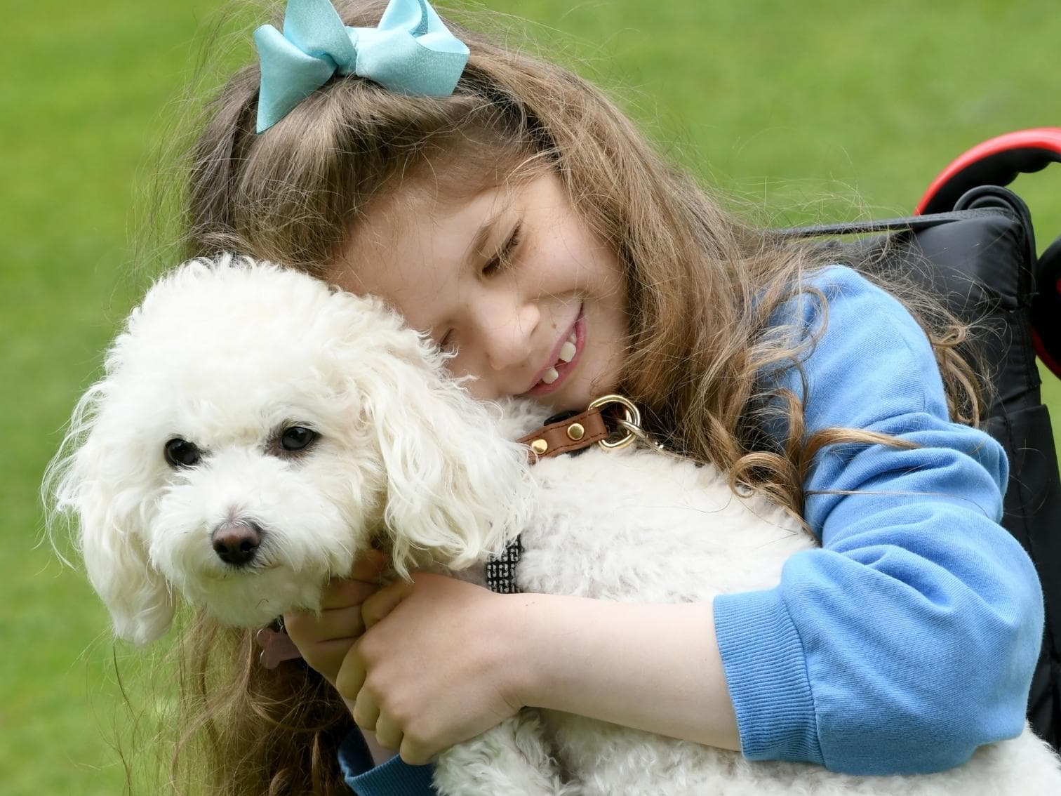 Support dog Matilda named as Vets Now Pet of the Year 2022… – hero