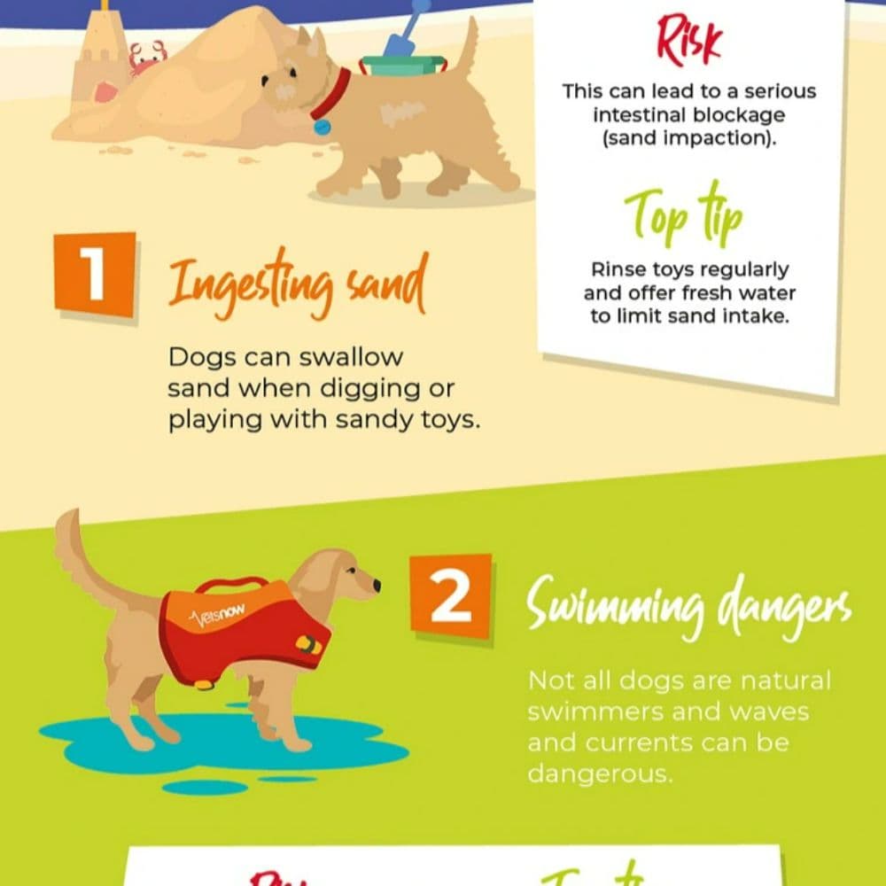 Beach hazards infographic preview