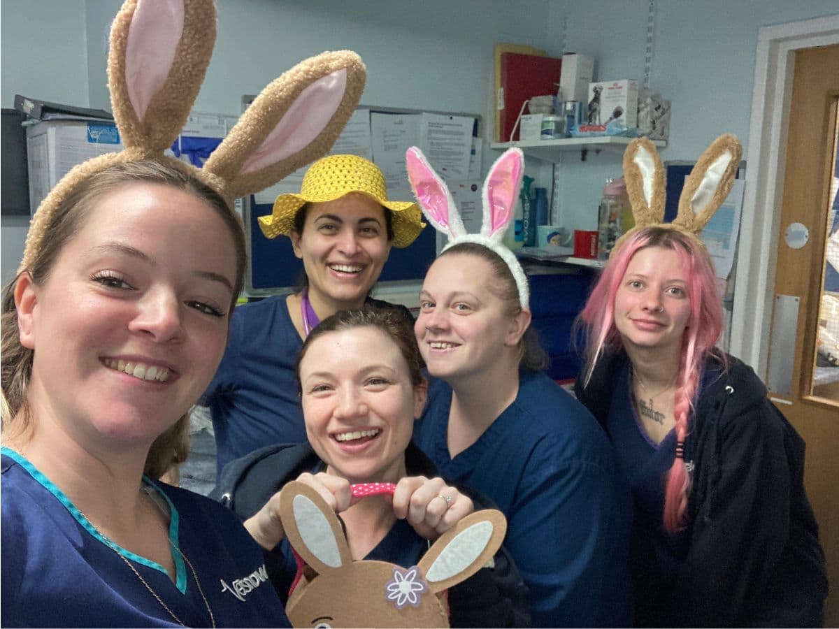 From Head Nurse to Area Director: Nina Seib on Leadership,… – body