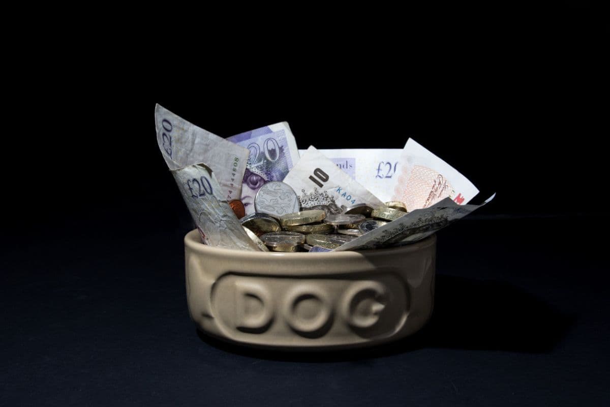 A dog food bowl filled with great british pound sterling notes and coins