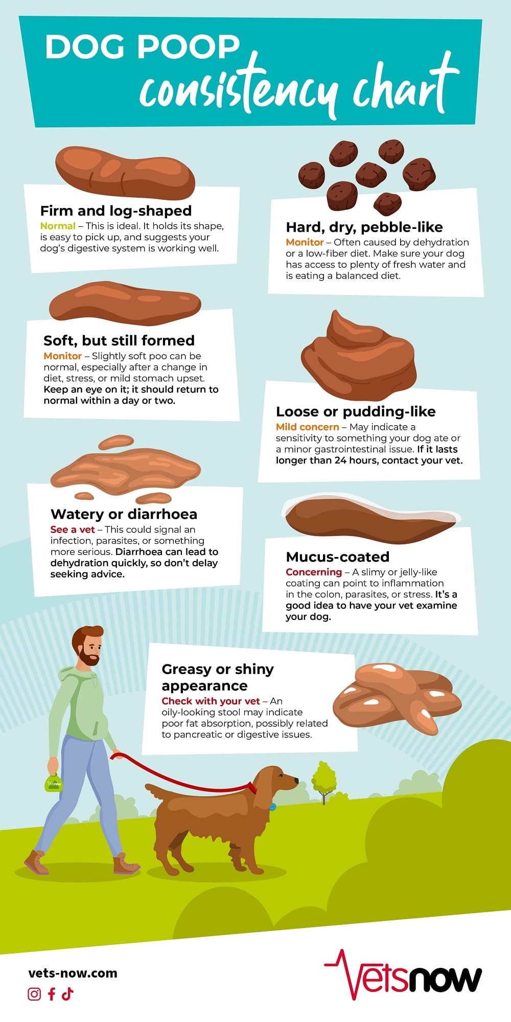 Dog Poop Consistency Infographic 2025