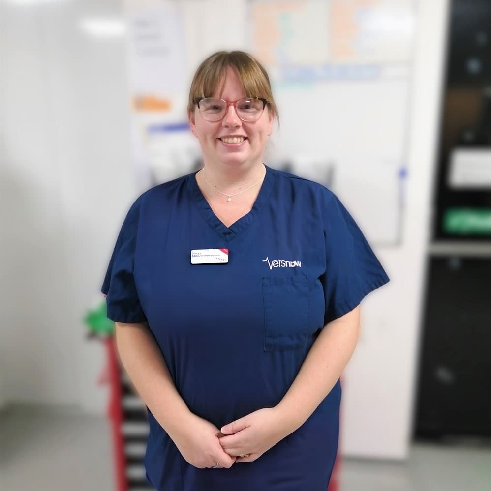 Vets Now's new ‘Enhancing the Nurse Role’ programme – body
