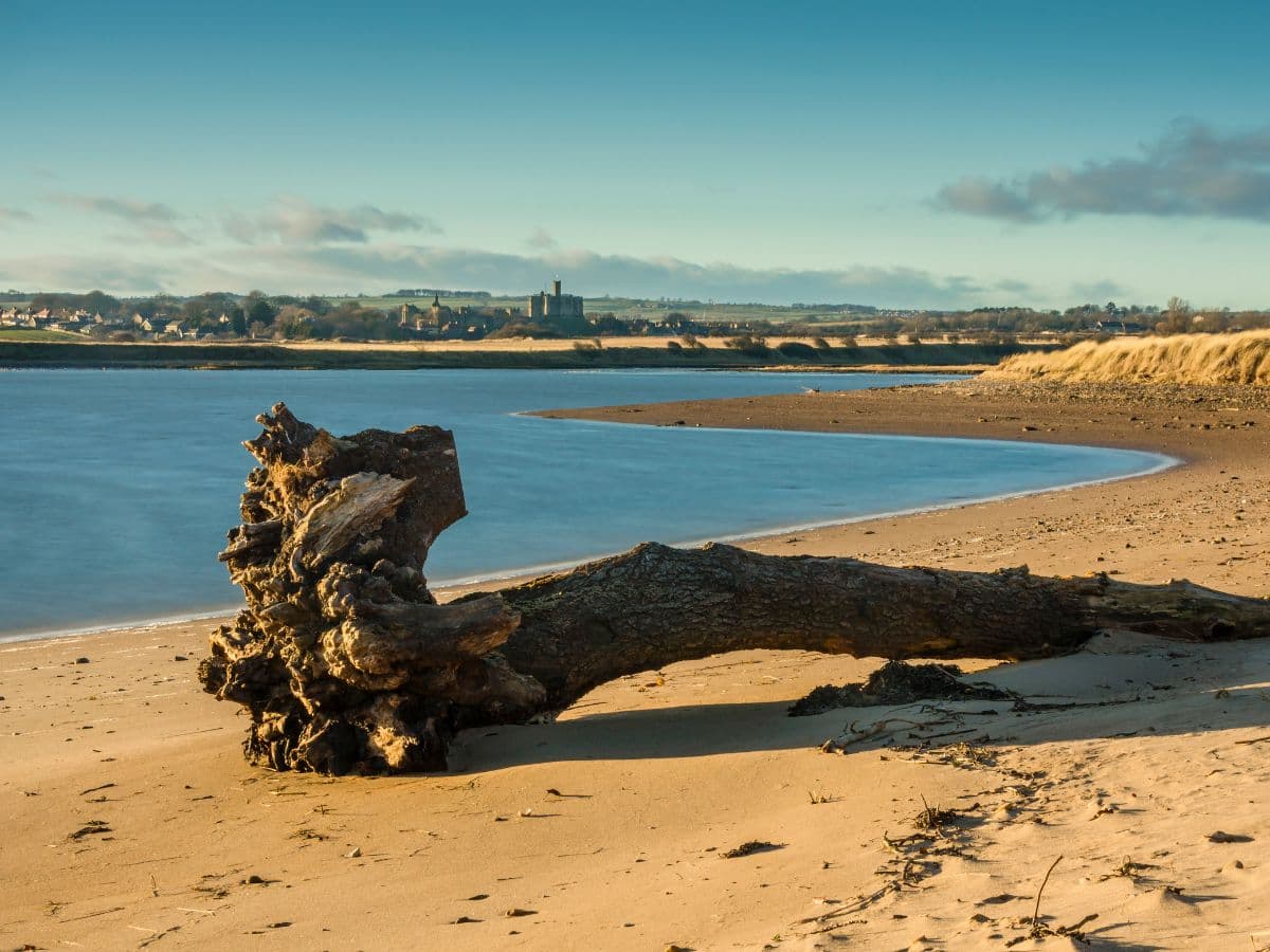 Warkworth Beach