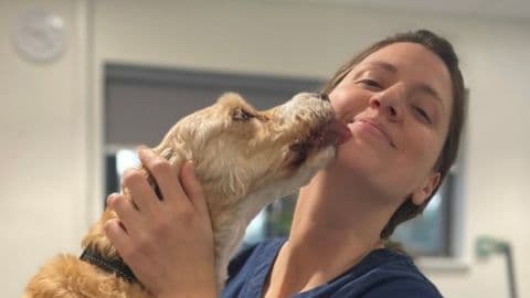 Veterinary surgeon Kat on building confidence through… – hero