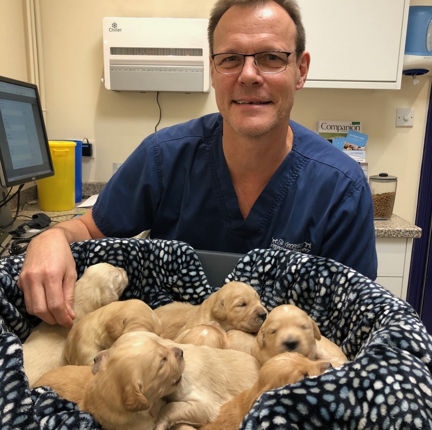 Michael Morrow with a basket of puppies