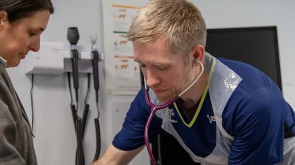 Simon Hagley on what interns can expect at Vets Now – hero