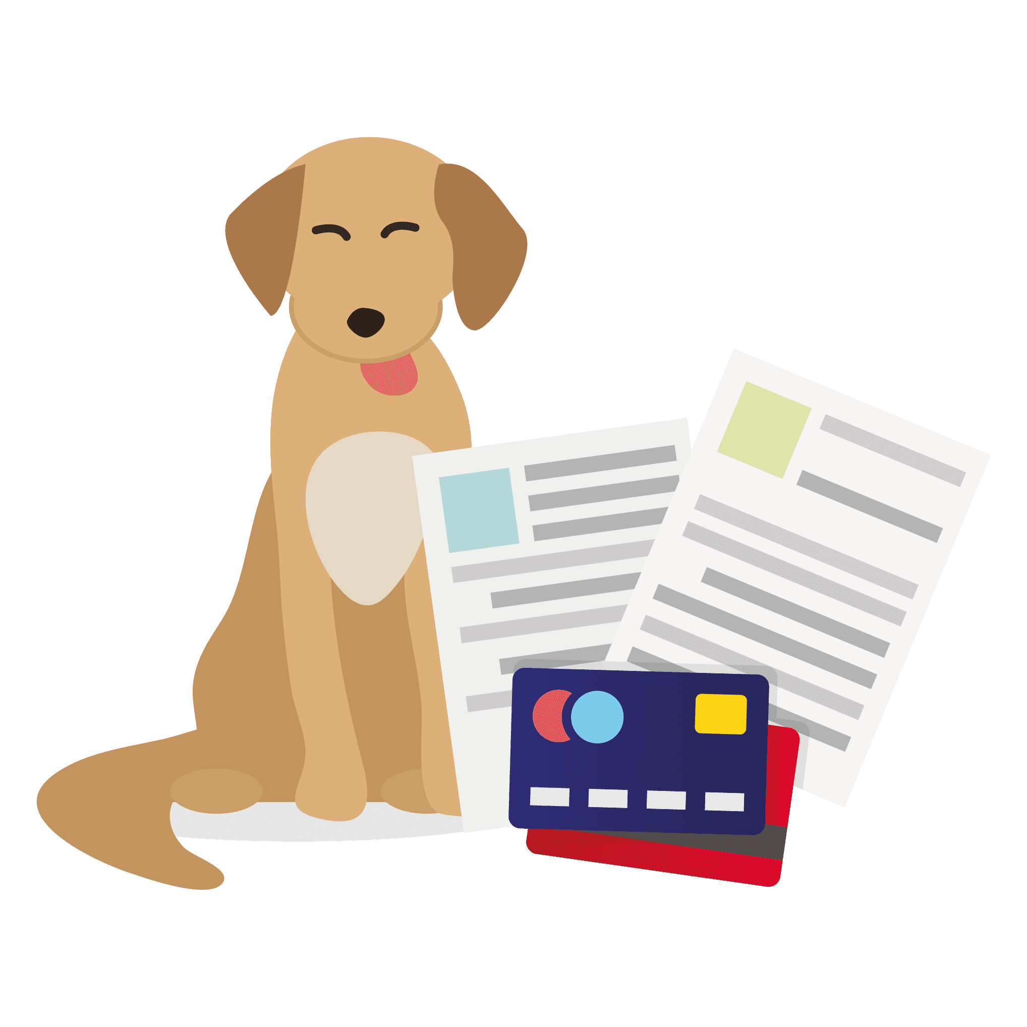 Pet Emergency Plan illustration – Be prepared for payment