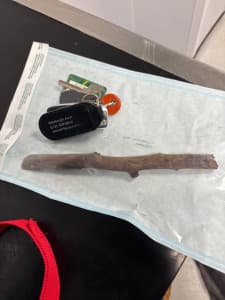 Dog Narrowly Escapes Death After Freak Stick Accident – body