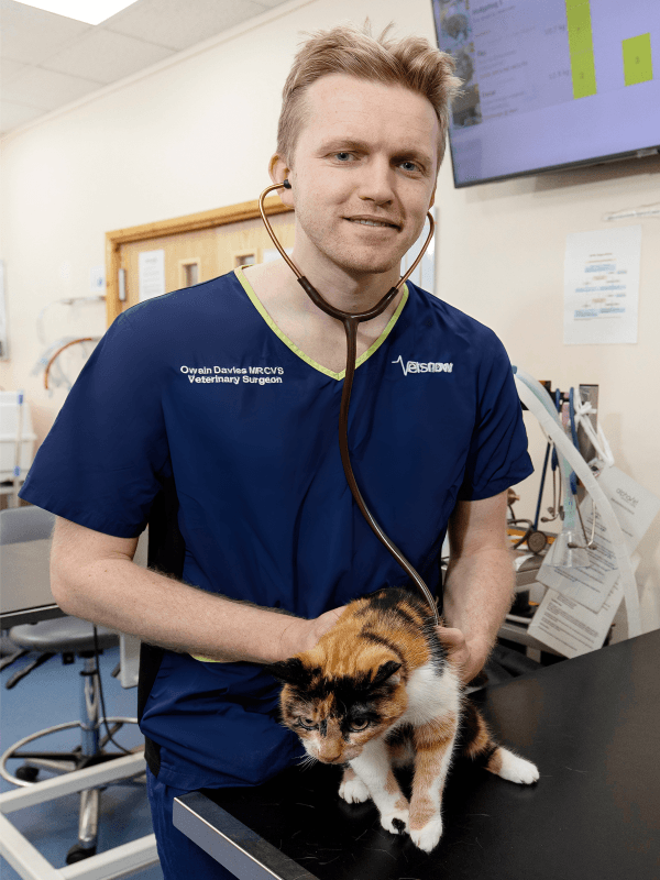 After a circuitous path, Owain Davies finds his fit – body