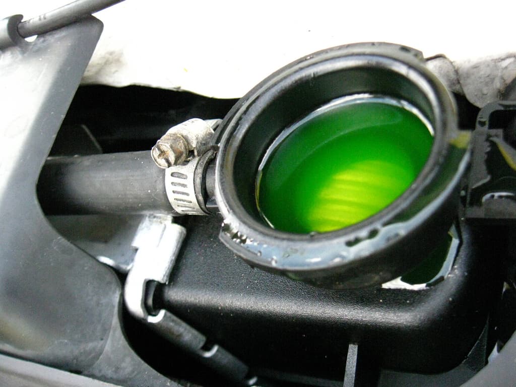 Antifreeze and dogs