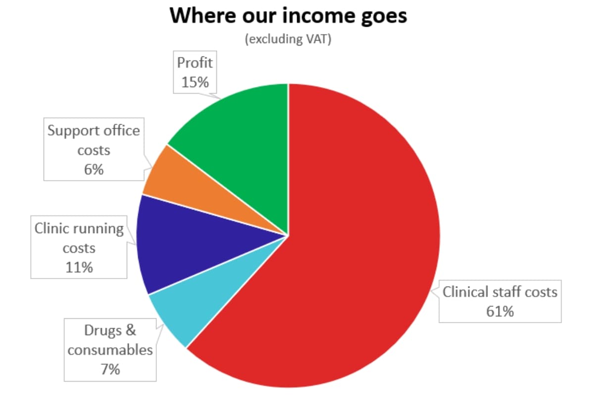 Pie chart illustrating income distribution. Clinical staff costs (61%) dominate, followed by profit (15%), clinic running costs (11%), drugs & consumables (7%), support office costs (6%).