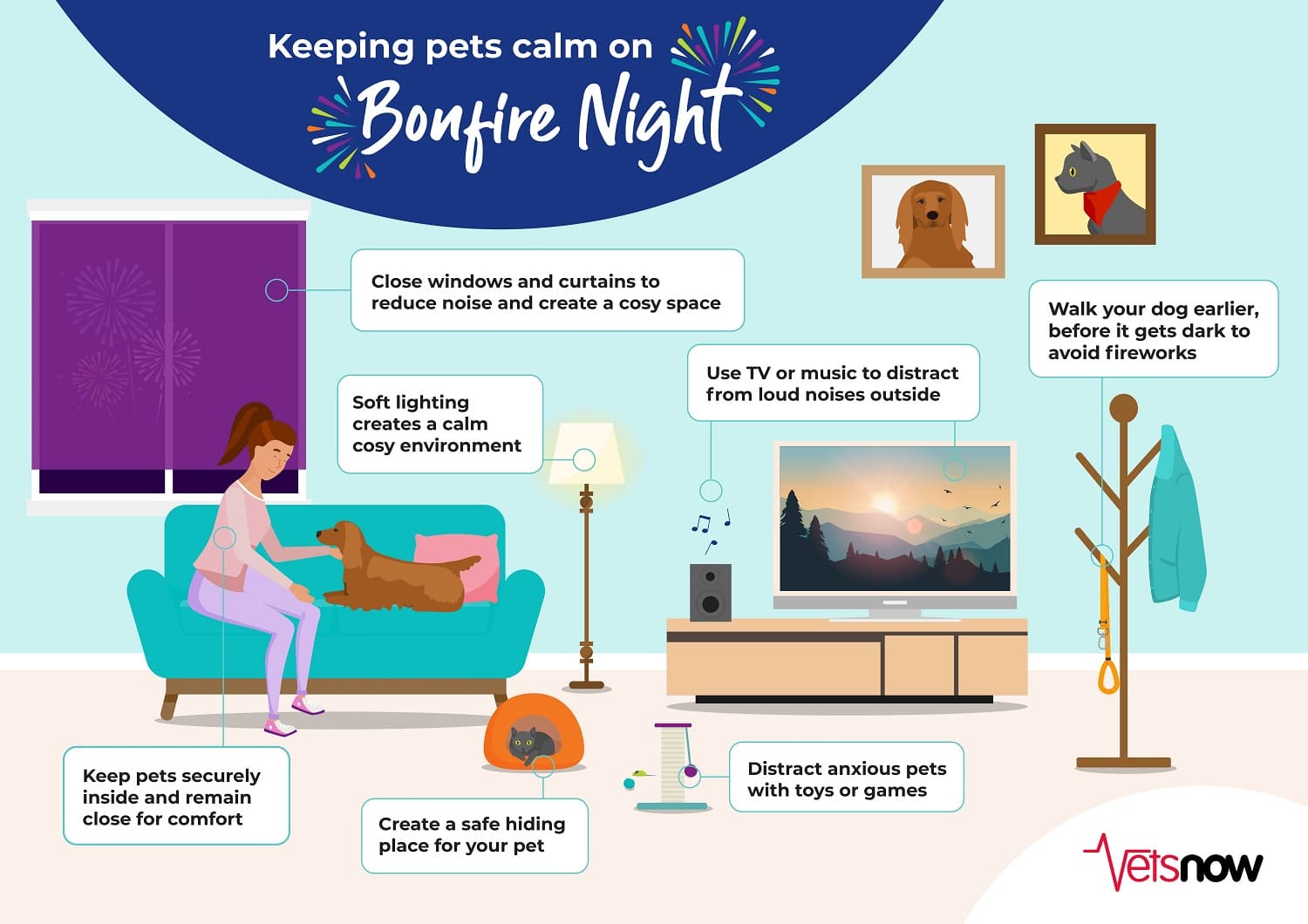 Keeping-Pets-Calm-House-Scene