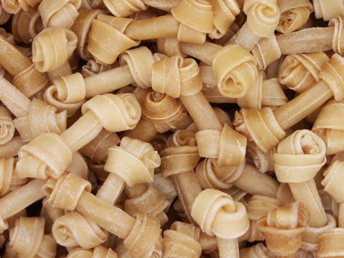 rawhide