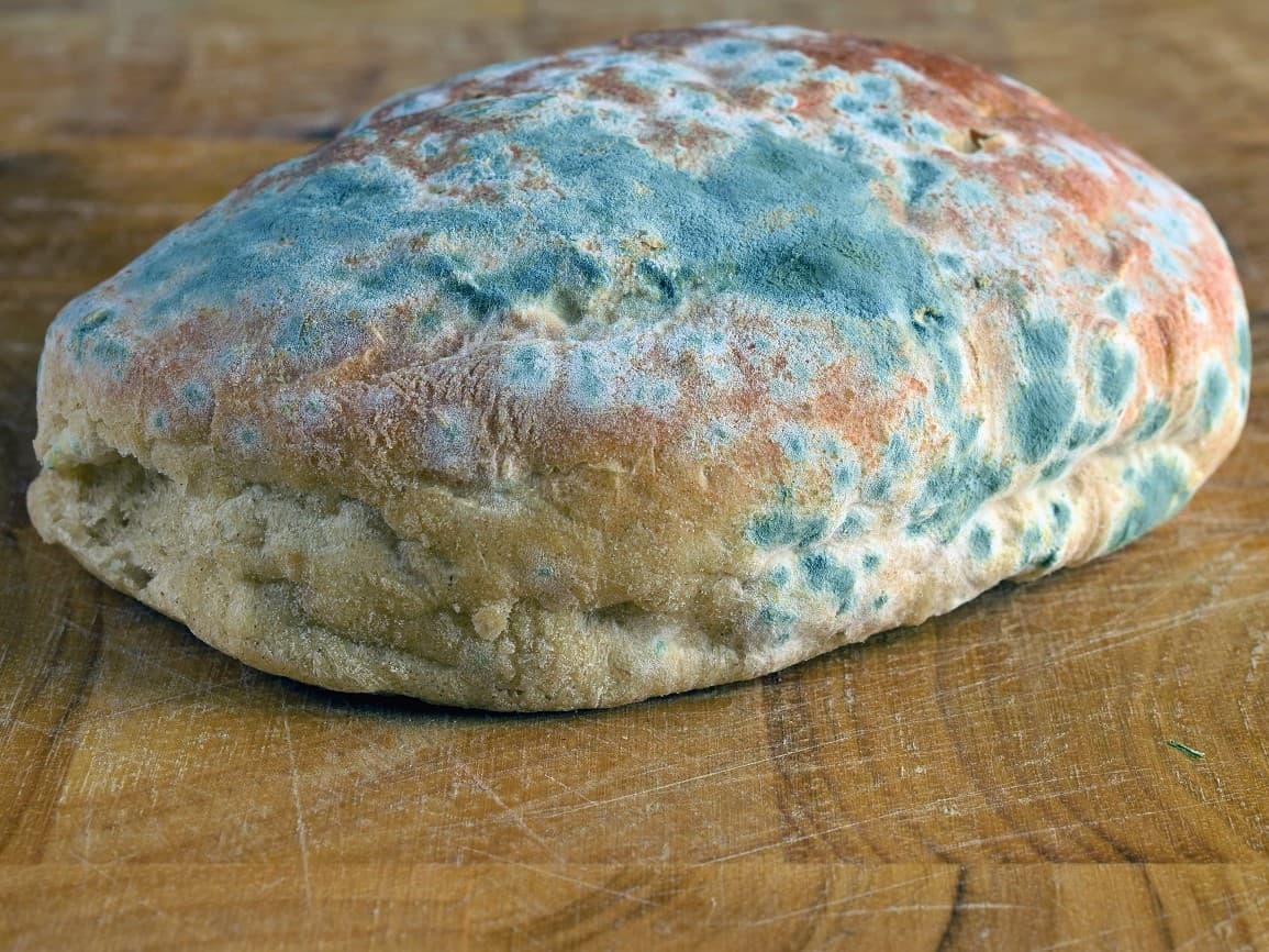 Mouldy bread