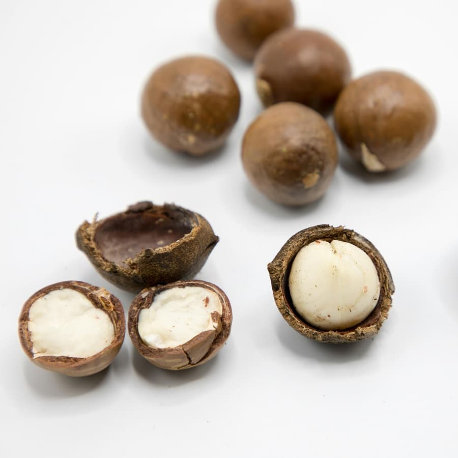 Macadamia nuts - can dogs eat nuts