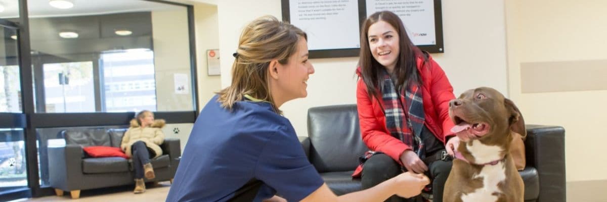 vet-nurse-greeting-dog-and-owner-waiting-room