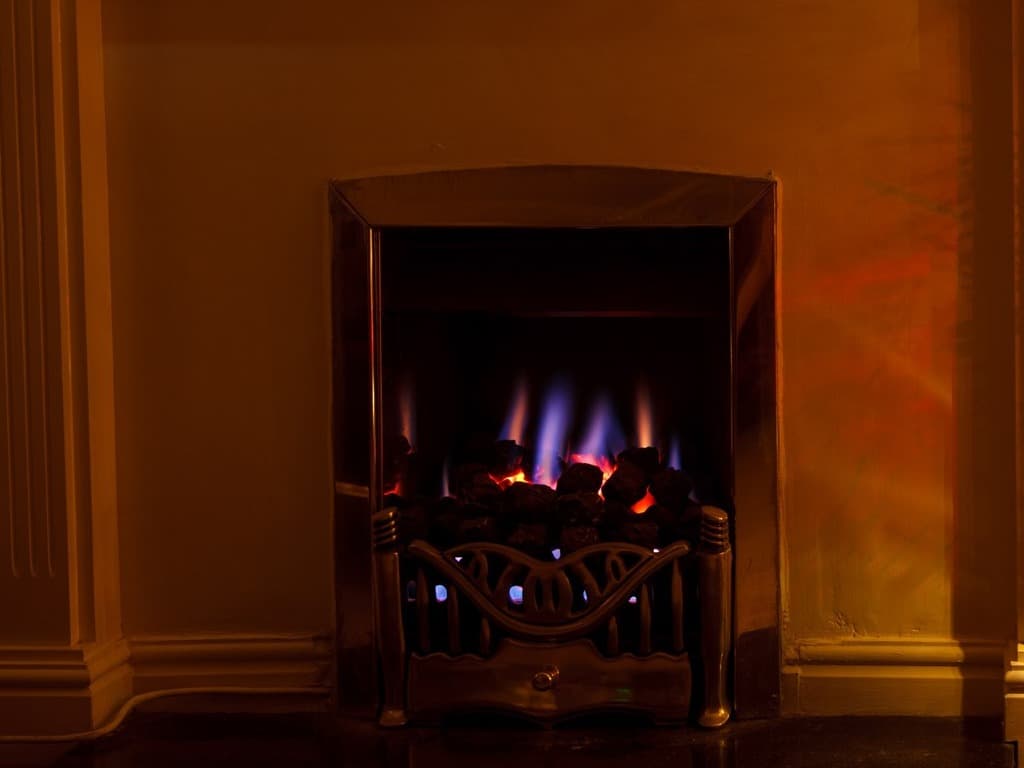 Fire in the home (body image) - carbon monoxide poisoning in cats