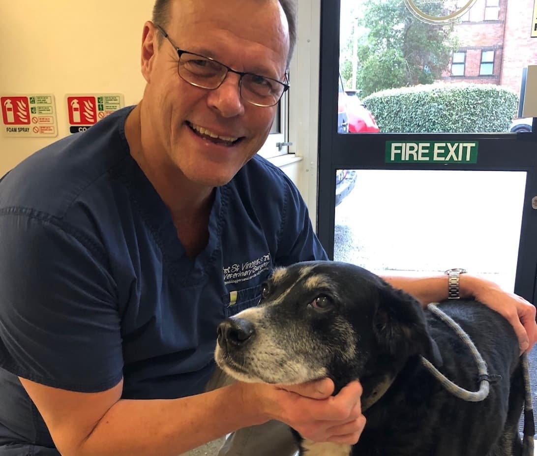Vets Now team member at a clinic