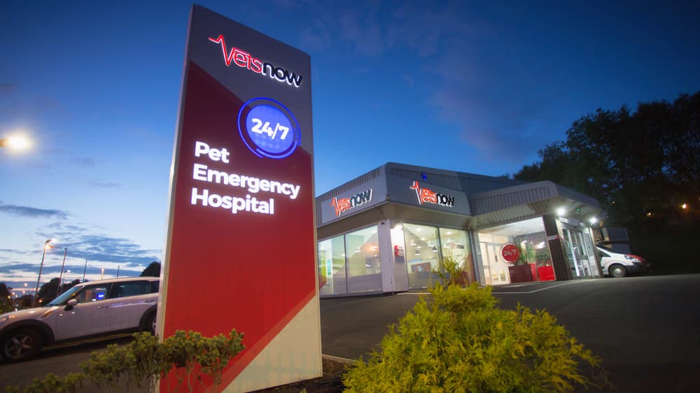 Vets Now Hospital Manchester