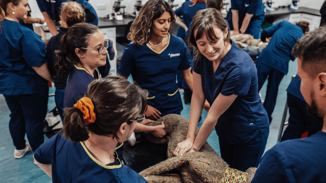 What is the Vets Now AdvantEdge programme? – hero